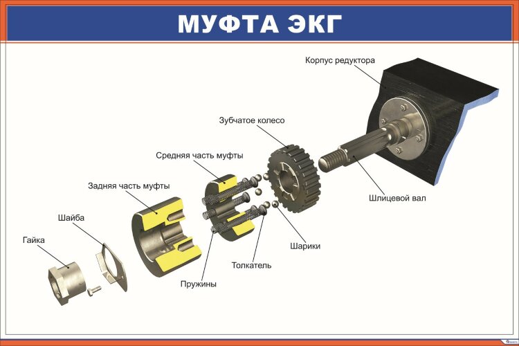 Плакат Муфта ЭКГ