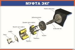 Плакат Муфта ЭКГ