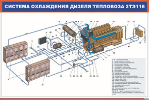 Плакат: Система охлаждения дизеля тепловоза 2ТЭ116