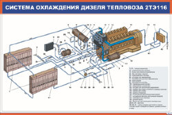 Плакат: Система охлаждения дизеля тепловоза 2ТЭ116