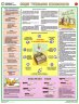 Комплект плакатов:  Безопасность работ на предприятии общественного питания, 3 листа