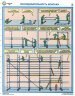 Комплект плакатов: Строительные леса (конструкции, монтаж, проверка на безопасность), 3 листа