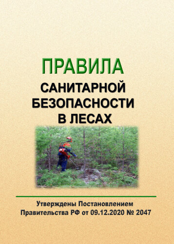 Правила санитарной безопасности в лесах