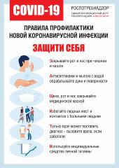 Плакат Правила профилактики новой коронавирусной инфекции Защити себя