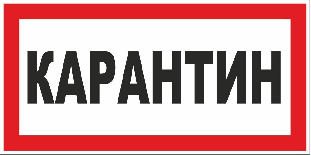 С Началом Карантина Веселые Картинки