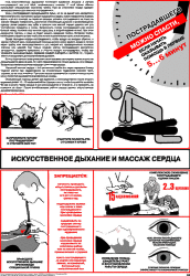 Плакат Искусственное дыхание и массаж сердца, 1 штука