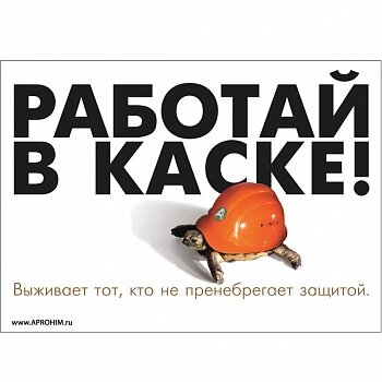 Плакат: Работай в защитной каске, 1 штука