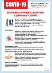 Плакат Об основных принципах карантина в домашних условиях, 2 листа
