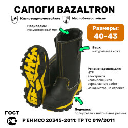 Сапоги BAZALTRON утепленные черные