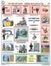 Комплект плакатов: "Пожарная безопасность", 3 листа