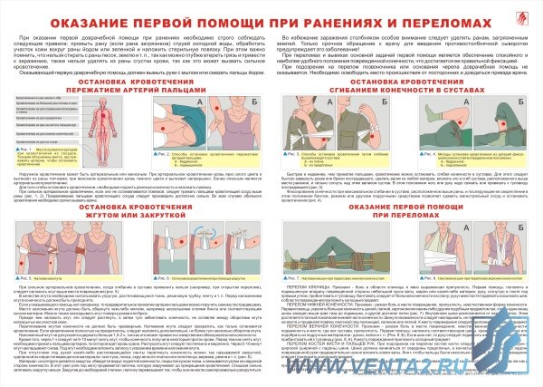 Плакат "Оказание первой помощи при ранениях и переломах" А2