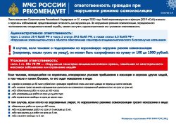 Плакат МЧС: Ответственность граждан при нарушении режима самоизоляции