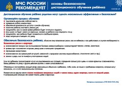 Плакат МЧС: Основы безопасности дистанционного обучения ребенка