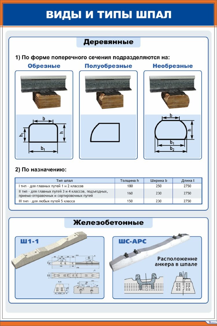 Плакат: Виды и типы шпал купить по выгодной цене в ProMarket