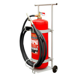 Передвижной огнетушитель ОВЭ-20(з)-АBCЕ-01 (Ратоборец)